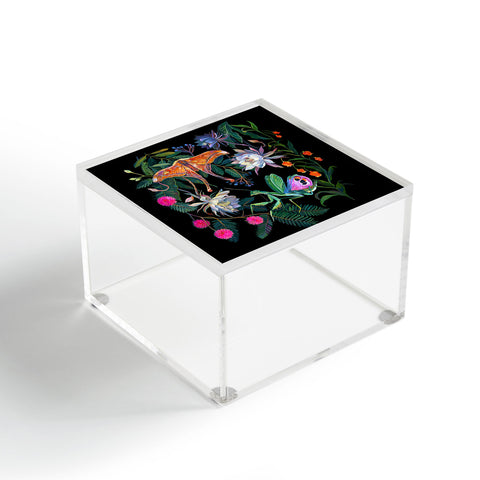 Clara McAllister Mantis Moth Acrylic Box