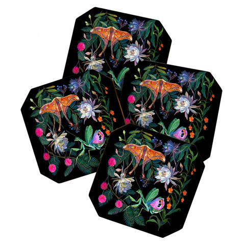 Clara McAllister Mantis Moth Coaster Set
