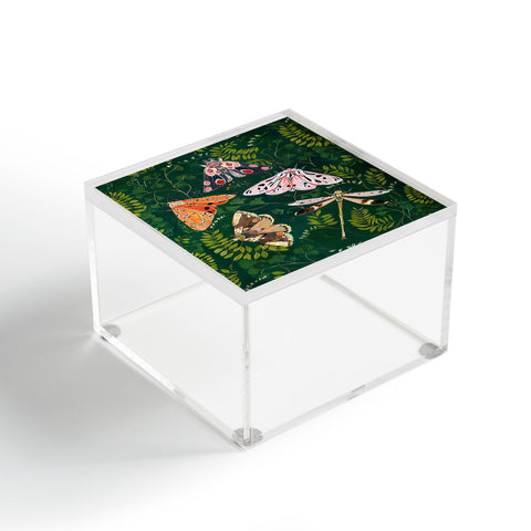 Clara McAllister Moths and dragonfly Acrylic Box
