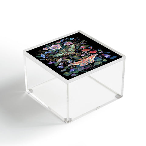 Clara McAllister Moths Magic Acrylic Box