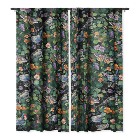 Clara McAllister Nasturtium fox garden Blackout Non Repeat