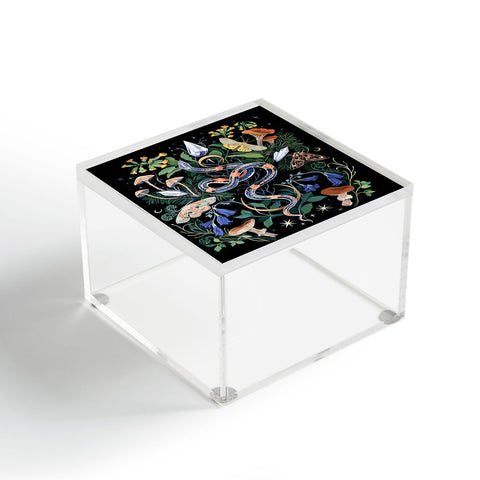 Clara McAllister Snake Crystal Garden Acrylic Box