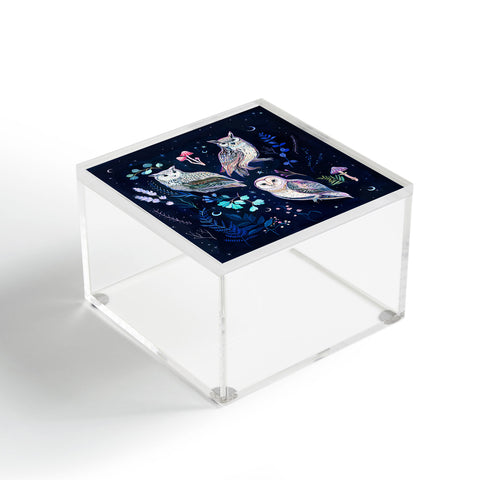 Clara McAllister Star Owls Acrylic Box