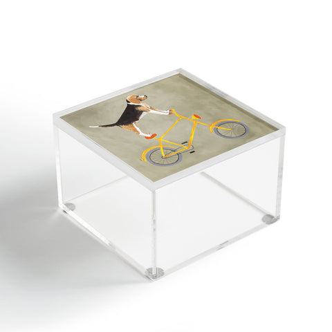 Coco de Paris Beagle on bicycle Acrylic Box
