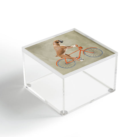 Coco de Paris Boxer on bicycle Acrylic Box