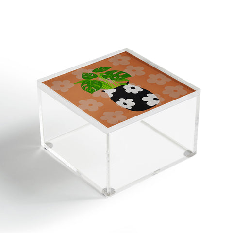 Coco de Paris Green plant retro style 1 Acrylic Box
