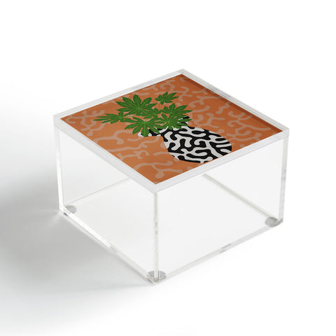 Coco de Paris Green plant retro style 2 Acrylic Box