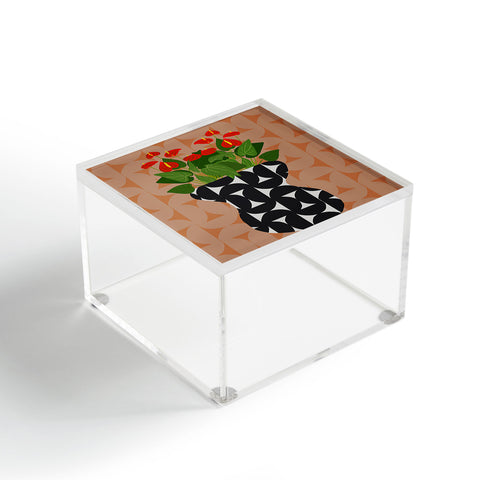 Coco de Paris Green plant retro style 7 Acrylic Box