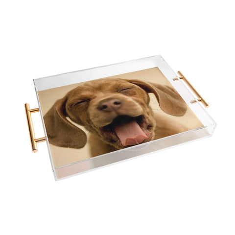 Create Your Own Custom Acrylic Tray