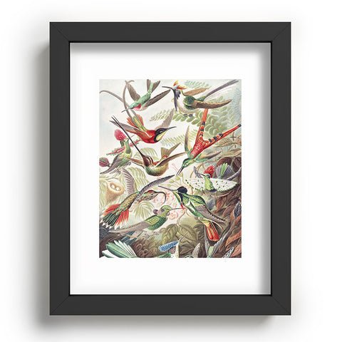 Dagmar Pels Hummingbirds 20 Recessed Framing Rectangle
