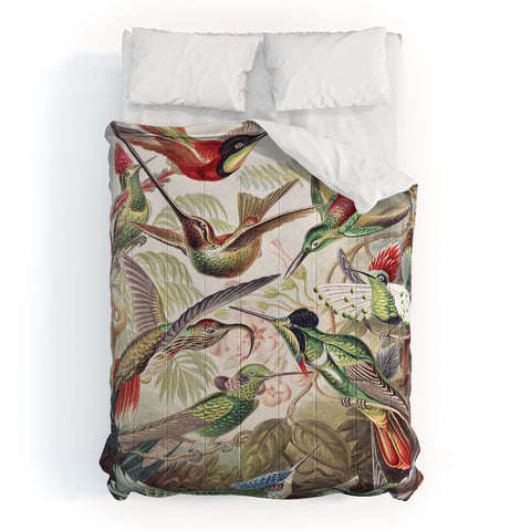 Dagmar Pels Hummingbirds 20 Comforter