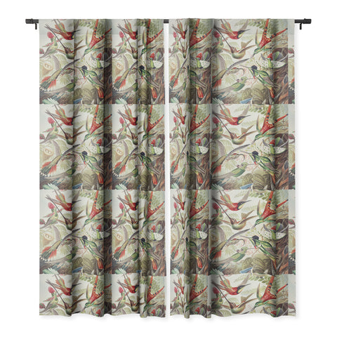 Dagmar Pels Hummingbirds 20 Blackout Window Curtain