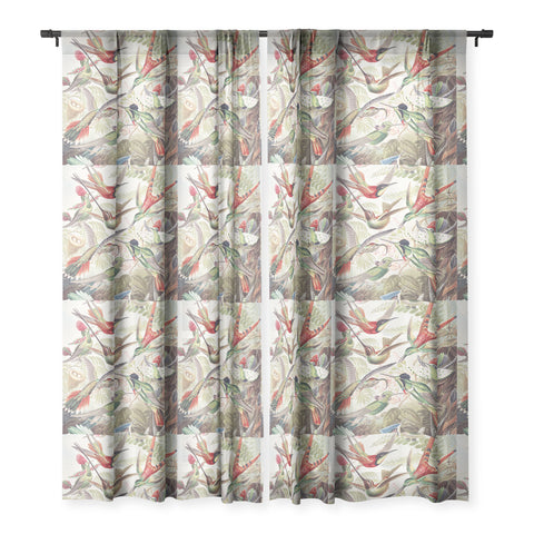 Dagmar Pels Hummingbirds 20 Sheer Window Curtain