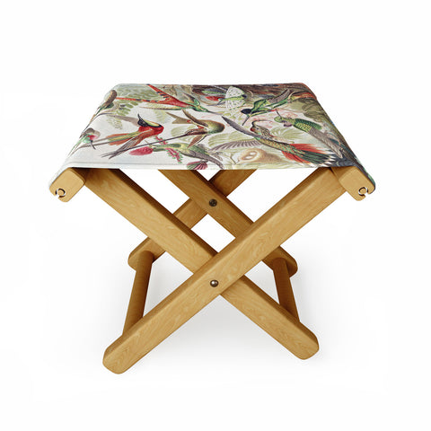 Dagmar Pels Hummingbirds 20 Folding Stool