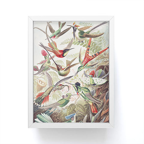 Dagmar Pels Hummingbirds 20 Framed Mini Art Print