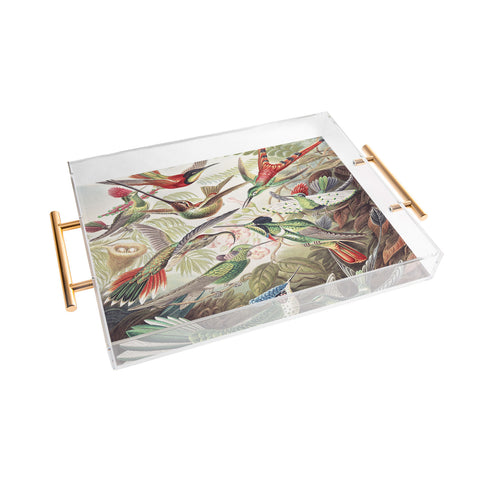 Dagmar Pels Hummingbirds 20 Acrylic Tray