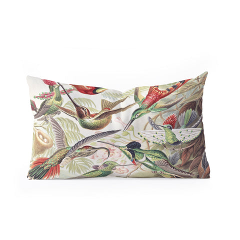 Dagmar Pels Hummingbirds 20 Oblong Throw Pillow
