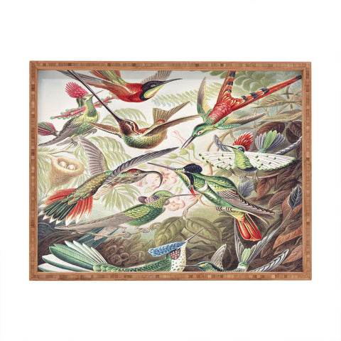 Dagmar Pels Hummingbirds 20 Rectangular Tray