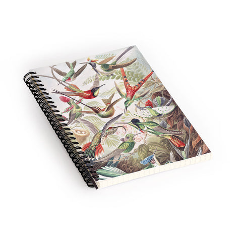 Dagmar Pels Hummingbirds 20 Spiral Notebook
