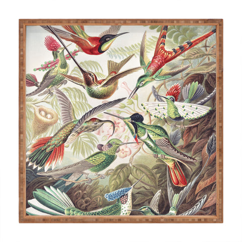 Dagmar Pels Hummingbirds 20 Square Tray