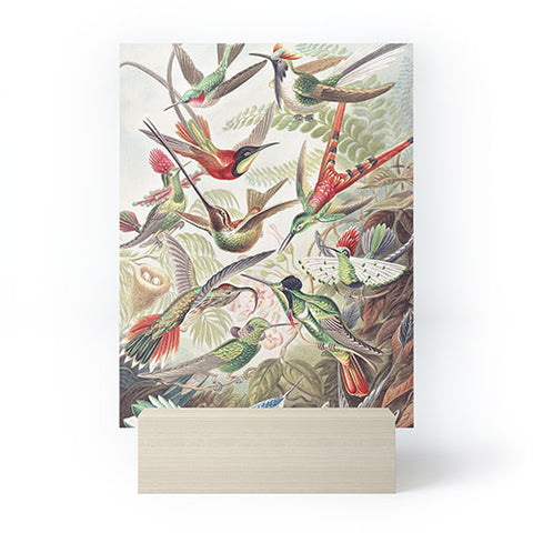 Dagmar Pels Hummingbirds 20 Mini Art Print