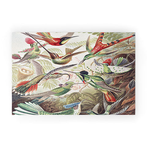Dagmar Pels Hummingbirds 20 Welcome Mat