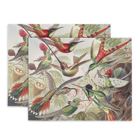 Dagmar Pels Hummingbirds 20 Placemat