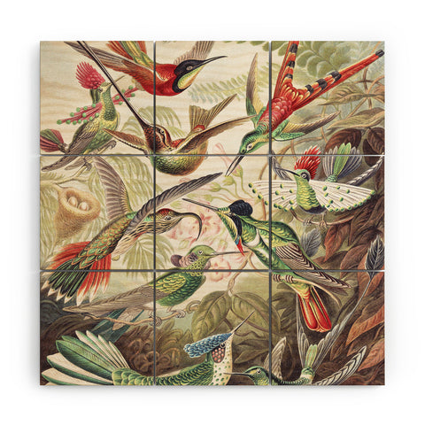 Dagmar Pels Hummingbirds 20 Wood Wall Mural