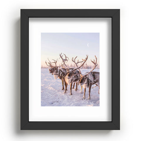 Dagmar Pels Reindeer portrait in snow Recessed Framing Rectangle