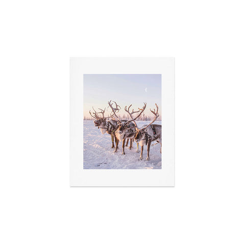 Dagmar Pels Reindeer portrait in snow Art Print