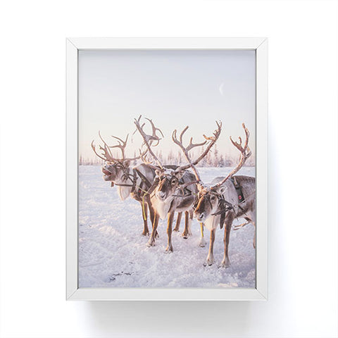 Dagmar Pels Reindeer portrait in snow Framed Mini Art Print