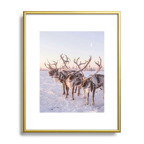 Dagmar Pels Reindeer portrait in snow Metal Framed Art Print