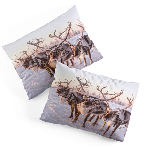 Dagmar Pels Reindeer portrait in snow Pillow Shams