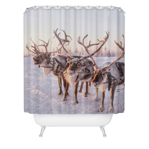 Dagmar Pels Reindeer portrait in snow Shower Curtain