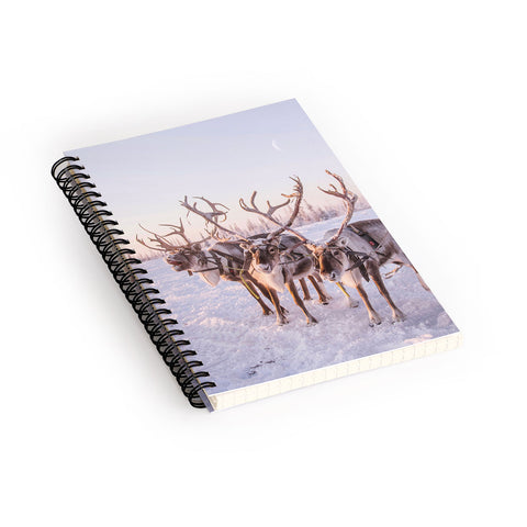 Dagmar Pels Reindeer portrait in snow Spiral Notebook