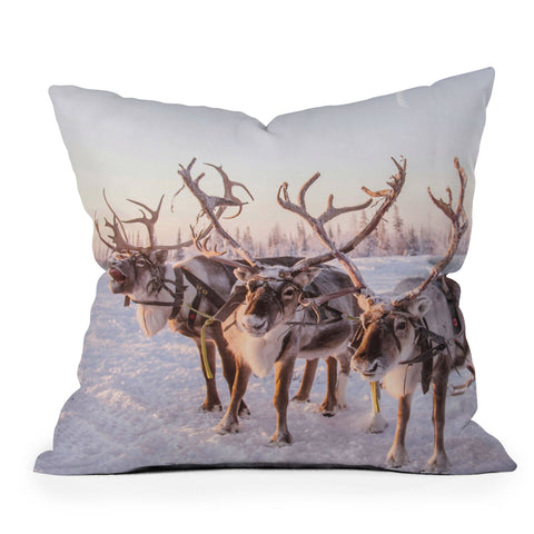 Dagmar Pels Reindeer portrait in snow Throw Pillow