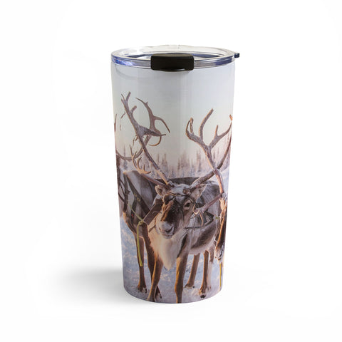 Dagmar Pels Reindeer portrait in snow Travel Mug