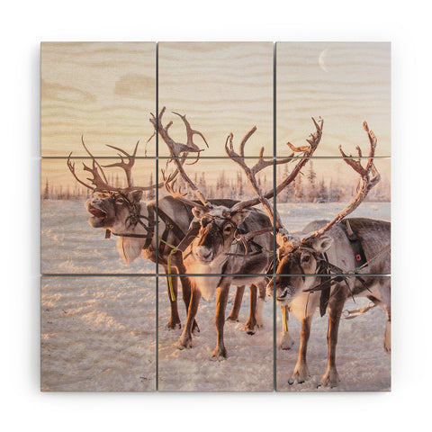 Dagmar Pels Reindeer portrait in snow Wood Wall Mural