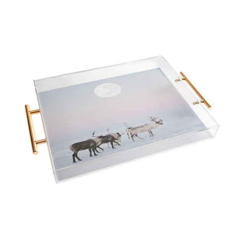 Dagmar Pels Winter Landscape Photo Acrylic Tray