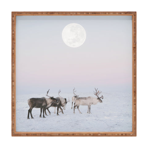 Dagmar Pels Winter Landscape Photo Square Tray