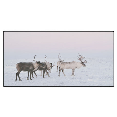 Dagmar Pels Winter Landscape Photo Desk Mat