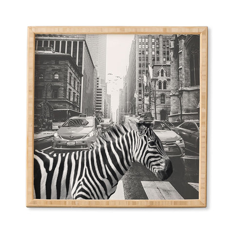 Dagmar Pels Zebra in New York City Framed Wall Art