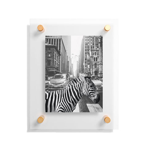 Dagmar Pels Zebra in New York City Floating Acrylic Print