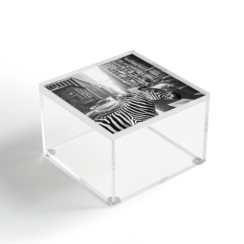 Dagmar Pels Zebra in New York City Acrylic Box