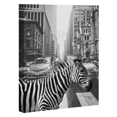 Dagmar Pels Zebra in New York City Art Canvas
