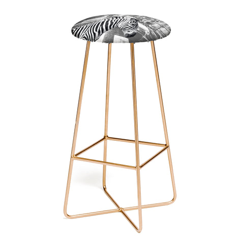 Dagmar Pels Zebra in New York City Bar Stool
