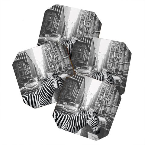 Dagmar Pels Zebra in New York City Coaster Set