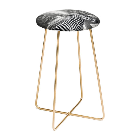 Dagmar Pels Zebra in New York City Counter Stool