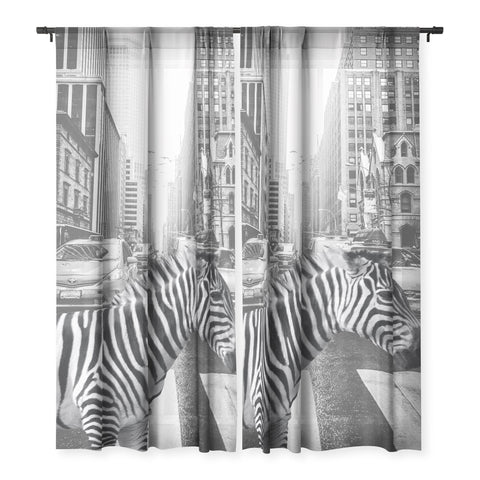 Dagmar Pels Zebra in New York City Sheer Non Repeat