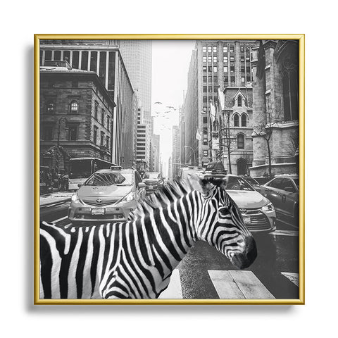 Dagmar Pels Zebra in New York City Square Metal Framed Art Print